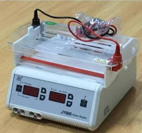 Digital genotype machine